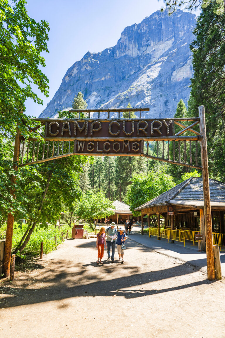 Snowy Escapes in Sunny California