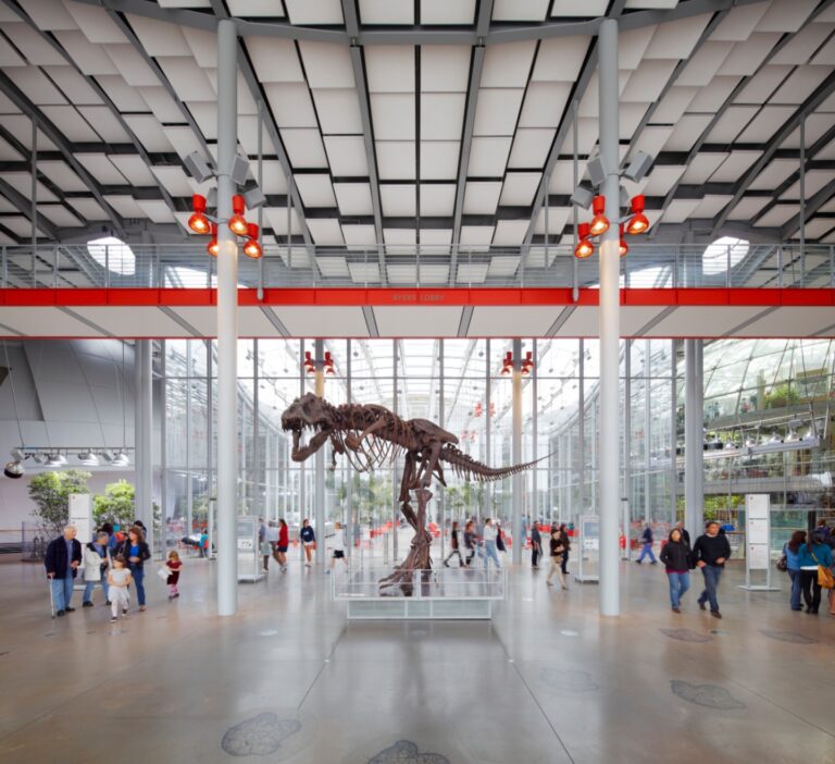 A Complete Guide to Exploring San Francisco During the FIFA World Cup 2026